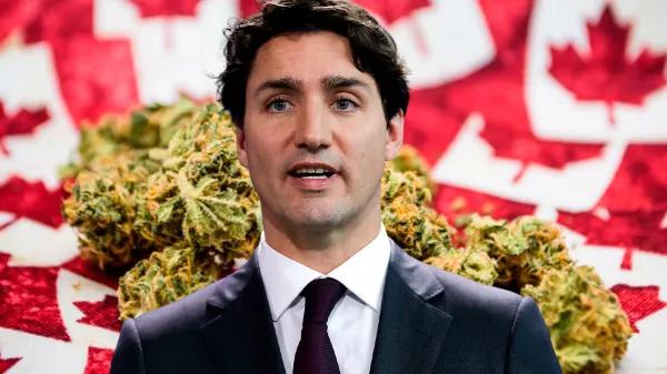 El Primer Ministro de Canadá defendió la legalización del cannabis