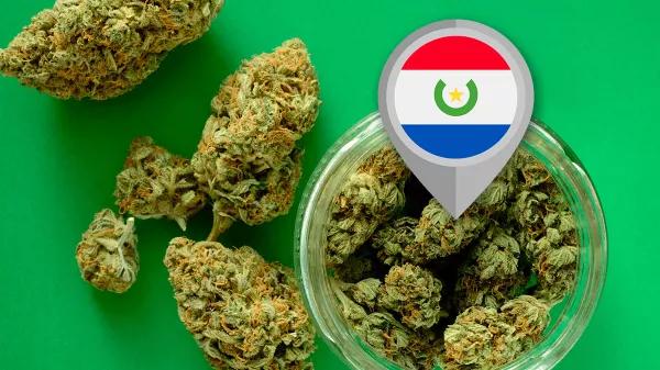 Paraguay activa la regulación integral del cannabis