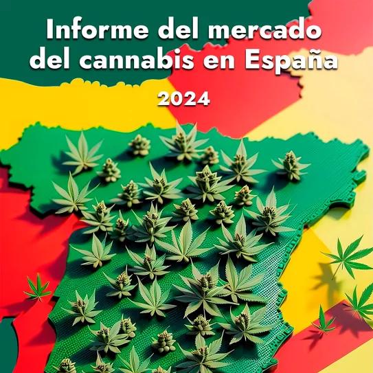 Informe del Mercado del Cannabis en España 2024