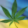 Ruanda aprueba la producción y exportación de cannabis medicinal