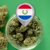 Paraguay activa la regulación integral del cannabis