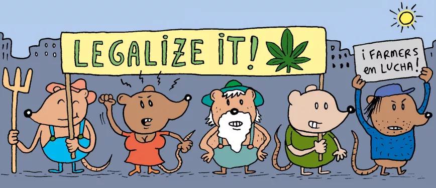 Legalize it! Abarrots