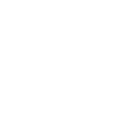 Logo Bhudda Seeds