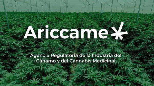 Argentina establece un procedimiento de sanciones para las infracciones en la industria del cannabis