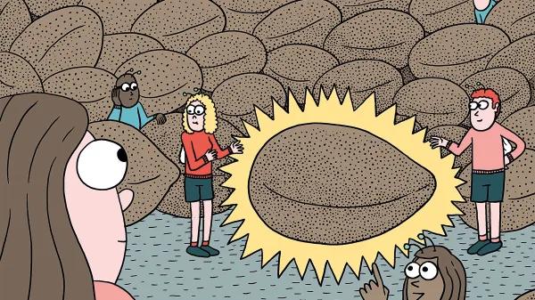 ¿Qué semillas compro? Guía para principiantes 