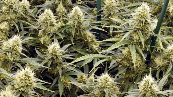 Control de la altura en interior