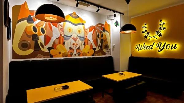 Weed You: un club para mentes inquietas