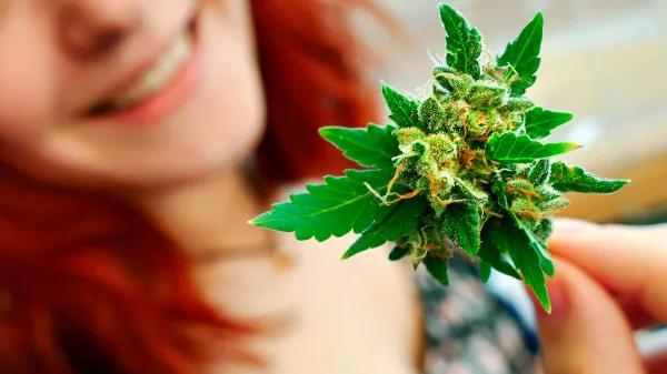 Cannabis y perimenopausia: lo que se sabe sobre alivio de síntomas