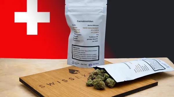 Zúrich amplía dos años su piloto de cannabis recreativo