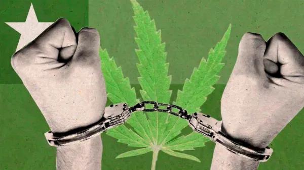 Chile debate penas más duras por porte de marihuana