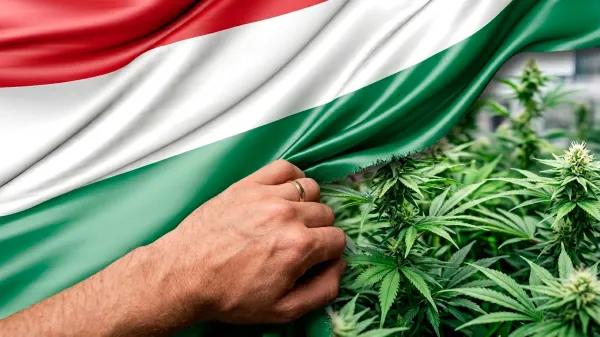 En Hungría se podría abrir una ventana para reformar el cannabis