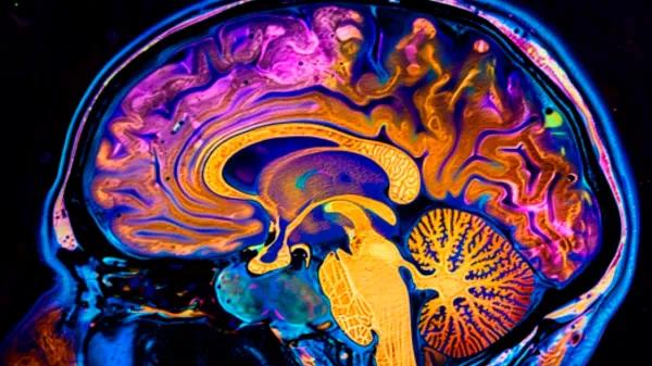 ¿Puede la ketamina dejar una huella en un cerebro bajo anestesia?