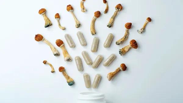 La psilocibina muestra señales prometedoras frente al uso de cocaína