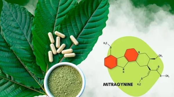 La FDA habilita un ensayo clínico con mitraginina