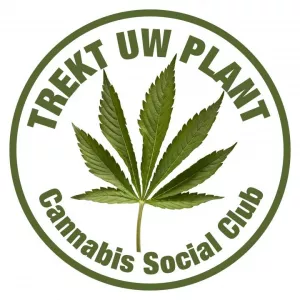 Un juez suspende la condena a 11 miembros del primer club de cannabis de Bélgica