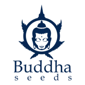 Logo de Buddha Seeds
