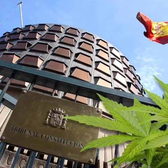 El Ministerio Fiscal pide que se anule la sentencia de la asociación Ebers