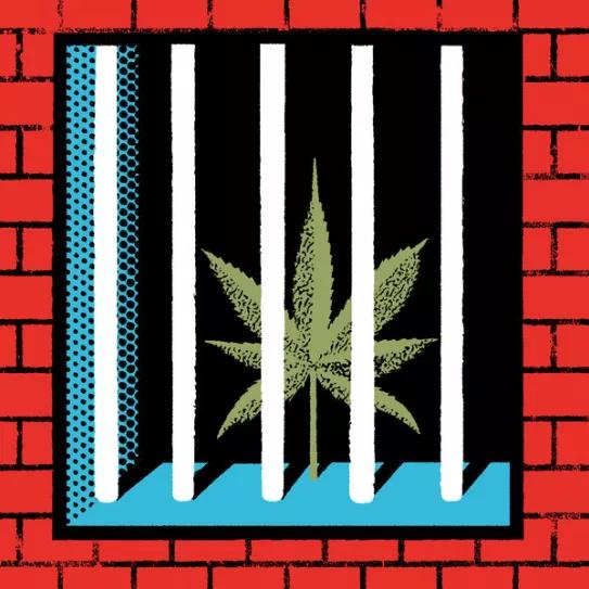 Se pospone la reclasificación del cannabis. Editorial #268