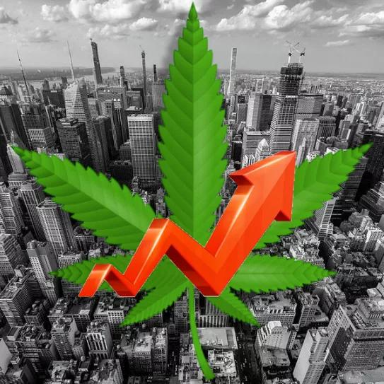 El coronavirus está golpeando de manera muy dura a la ciudad de Nueva York pero esto no ha impedido que aumenten las ventas de cannabis hasta un 50%.
