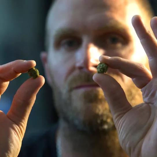 No, el CBD no cura el coronavirus, Kyle Turley