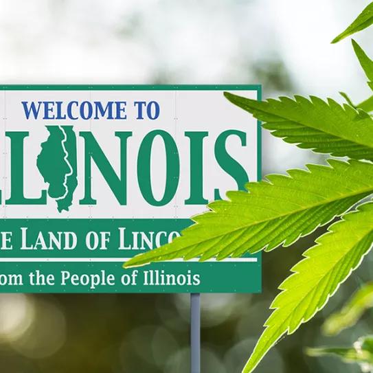 Illinois recauda 8 millones de dólares en impuestos a la marihuana desde enero