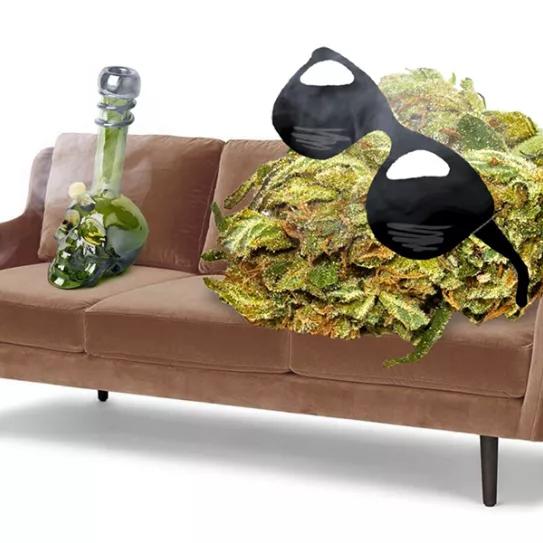 73% de consumidores de cannabis lo utilizan para aliviar el aislamiento de la cuarentena