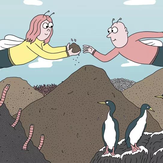 8 Claves para la mejor tierra 