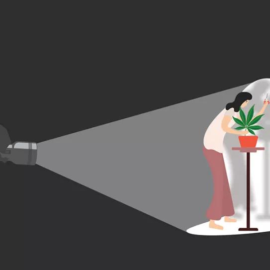 Por un mundo más libre. Editorial #269