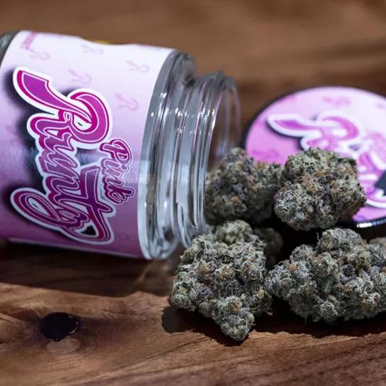 “Runtz”, una yerba muy popular