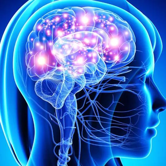 ¿Ayudan los orgasmos al sistema endocannabinoide?