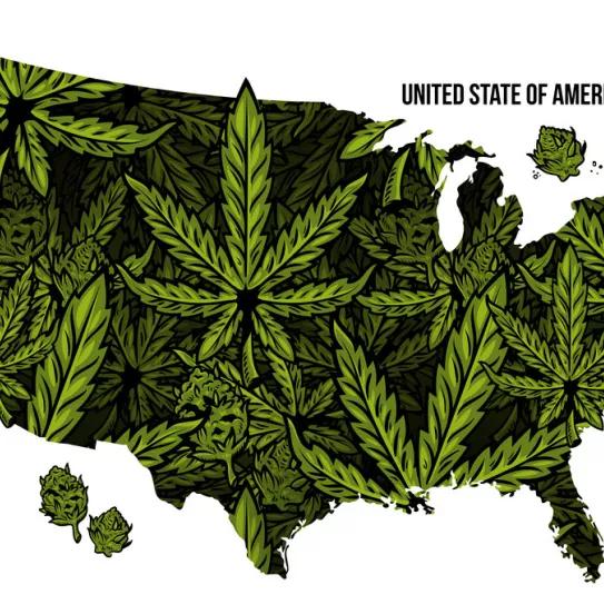 Los estaudinidenses que votaron a favor de legalizar no se arrepienten de ello