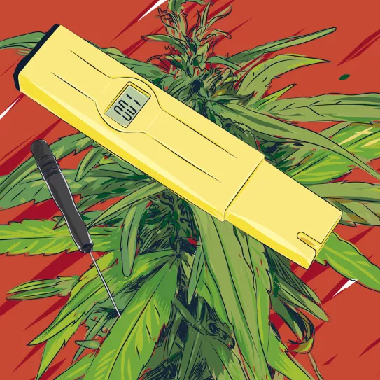 Ilustración: Medidor EC