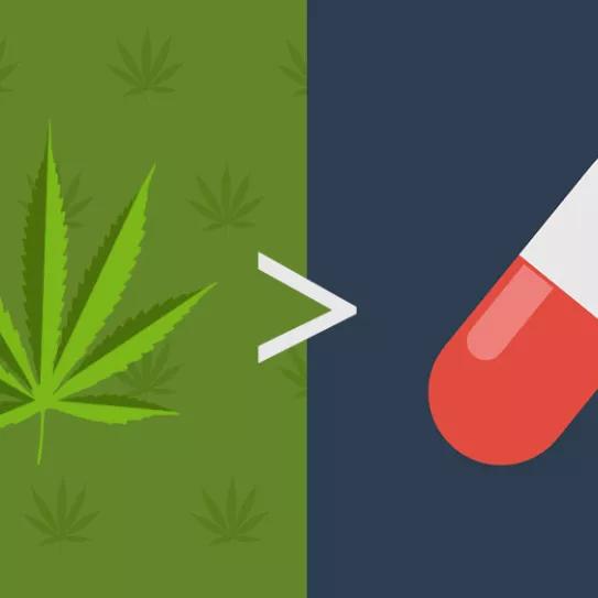 Estados que legalizaron la marihuana ven reducido el uso de opioides en un 20 por ciento