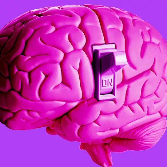 Altas dosis de ketamina pueden “apagar” el cerebro temporalmente, dice un estudio