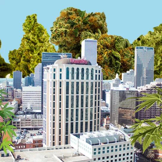 Luisiana amplía su programa de marihuana medicinal