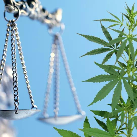 Virginia descriminaliza en cannabis el día 1 de julio