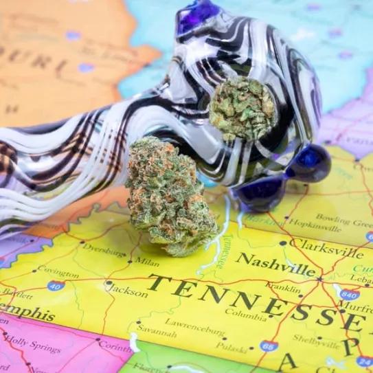 Fiscal general de Nashville dice que dejarán de perseguir la posesión de marihuana