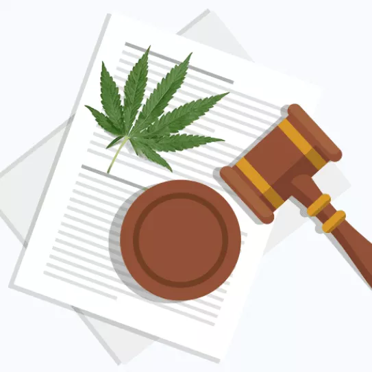 Diferencias entre legalización, despenalización, normalización y regulación.