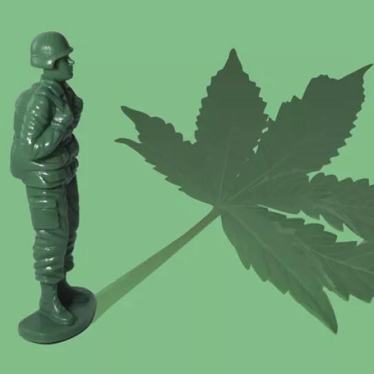 Congreso EE.UU. aprueba medida que permite el uso de CBD entre los militares