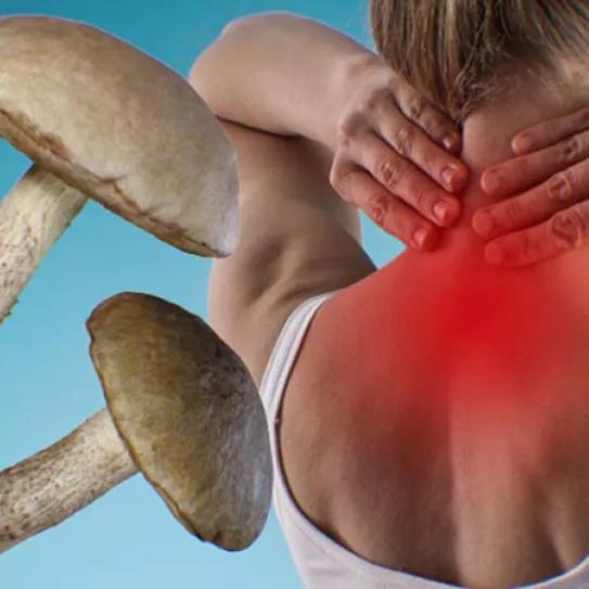 ¿Psilocibina contra el dolor crónico?