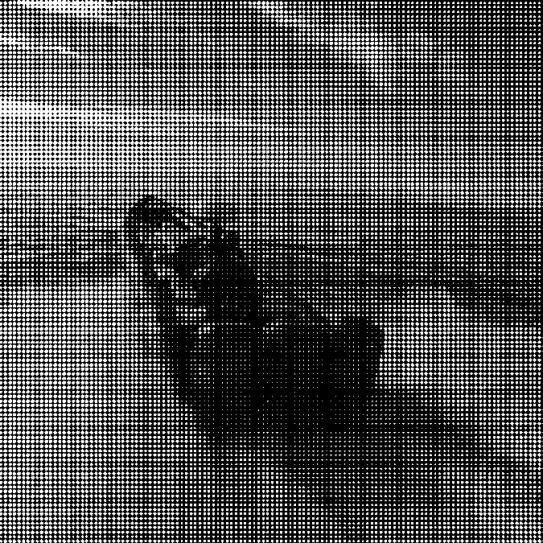 Desembarco de hachís en Málaga