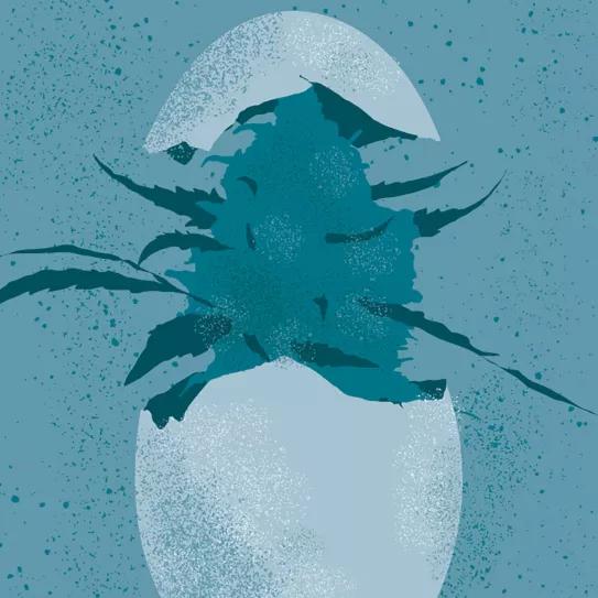 Ilustracción: Cannabis en huevo