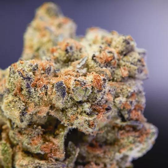 Variedades populares de septiembre 2020