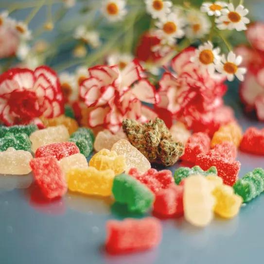 Hawái legaliza los comestibles de cannabis