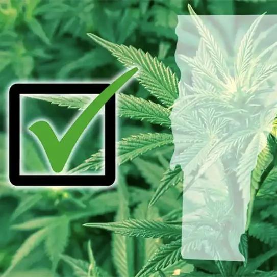 Vermont se convierte en el onceavo estado que legaliza el cannabis para uso recreativo