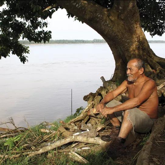 El curandero cocama Rogelio Carihuasari