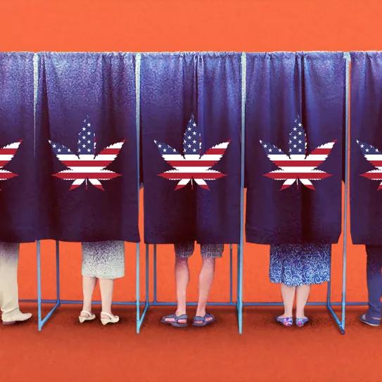 Dakota del Sur, Montana, Nueva Jersey y Arizona legalizan la marihuana recreativa