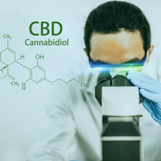 Investigadores de Córdoba y Escocia producen una molécula antioxidante desde el CBD