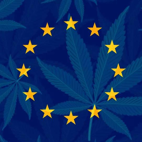 La Justicia Europea considera ilegal la prohibición del CBD en Francia