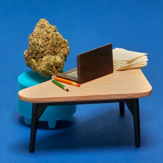 Las mejores variedades de cannabis para trabajar en casa